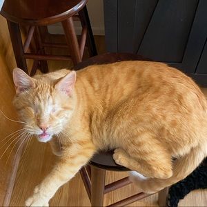 Meet your Posher, Kevin